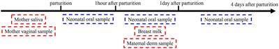 The dynamic communities of oral microbiome in neonates